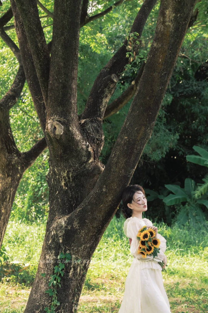 MỘNG MƠ 12