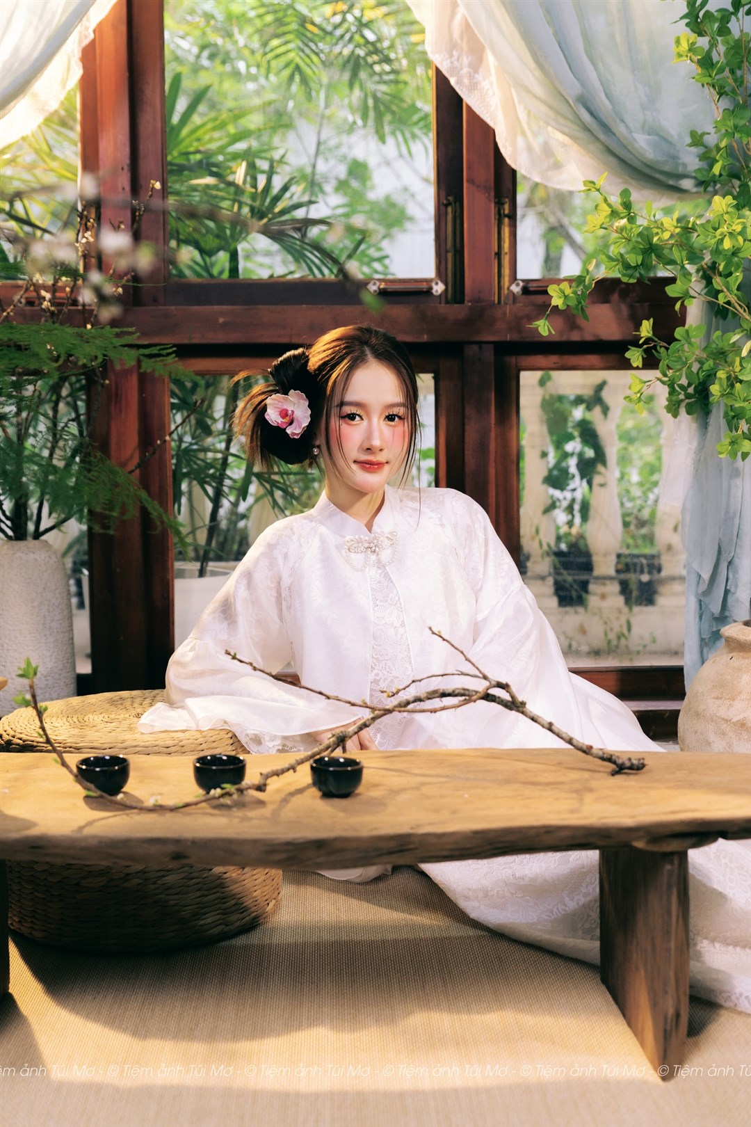 BẠCH TRÀ XUÂN 5