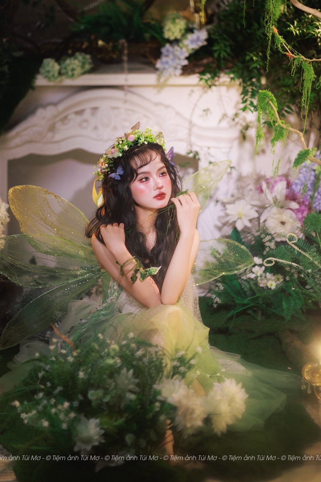 FAIRY FOREST 10